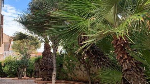 Foto 2 de Residencial en venda a Los Europeos, Torrevieja