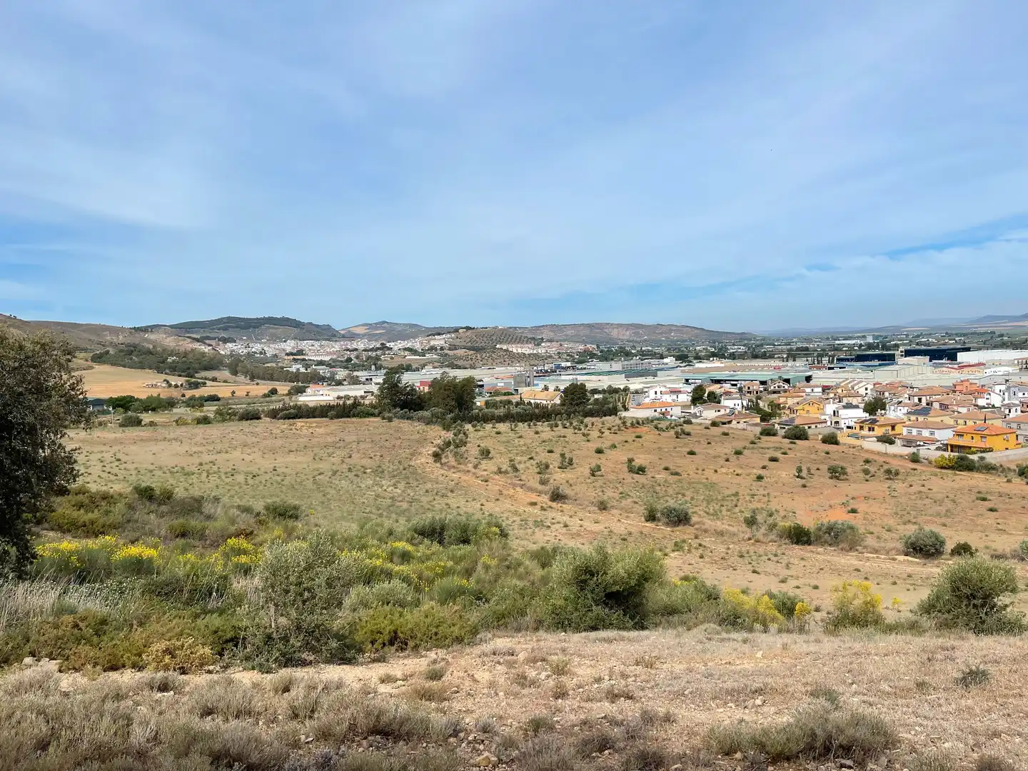 Vista exterior de Finca rústica en venta en Antequera con Jardín privado, Piscina y Internet