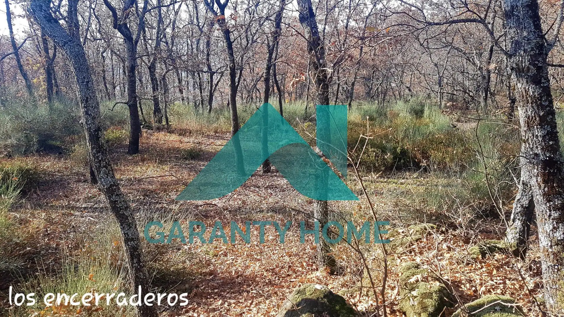 Finca rústica en venta en Aldeanueva de la Vera