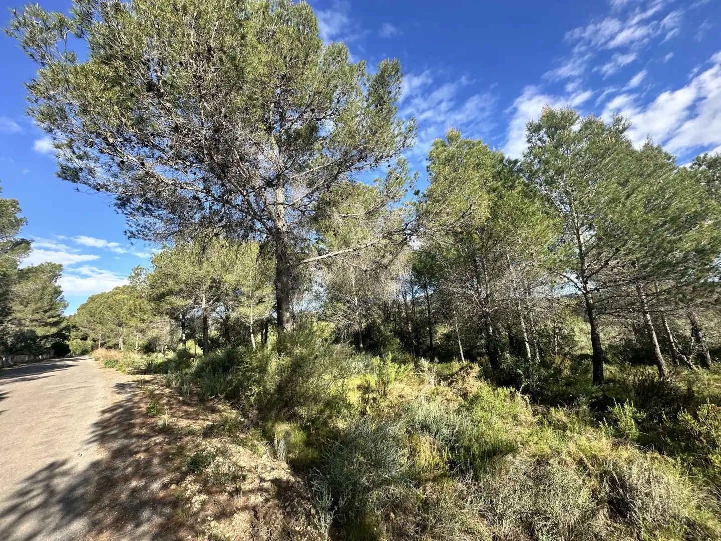 Terreny residencial en venda a Estivella