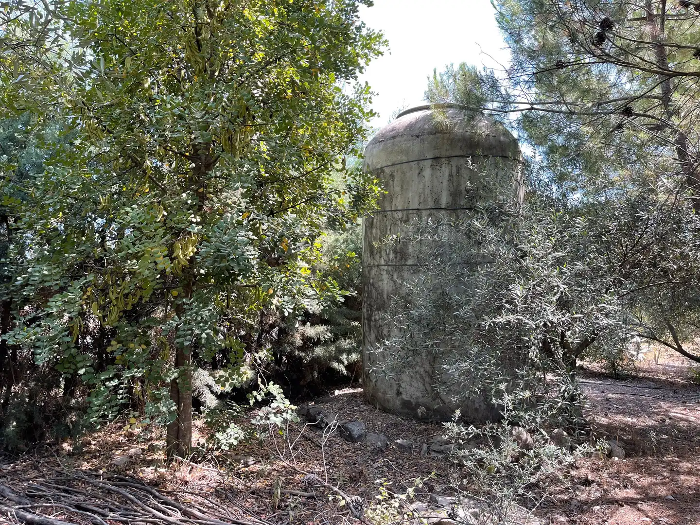 Terrenos y solares en venta en Úbeda, imagen 8