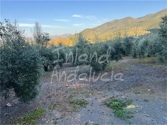 Terreni e lotti in vendita a Alcaudete, imagen 5