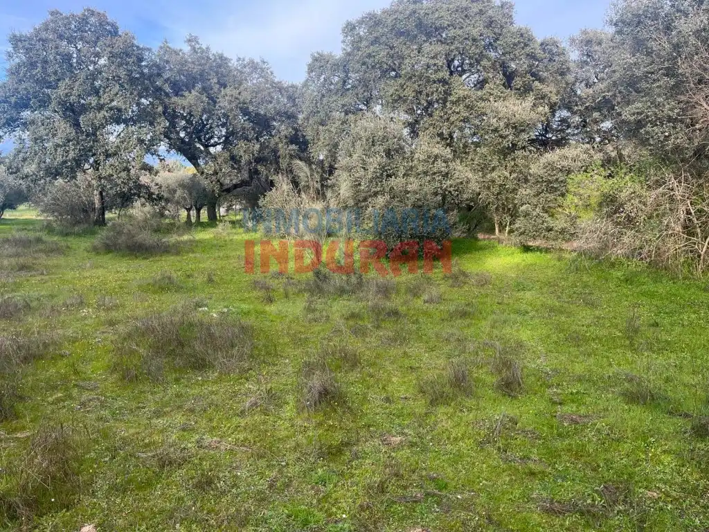 Casa en venta en Millanes, imagen 4