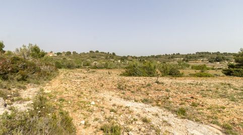 PARCELA ECONÓMICA EN MONSERRAT, EN LA URBANIZACIÓN COLINAS VENTA CABRERA.