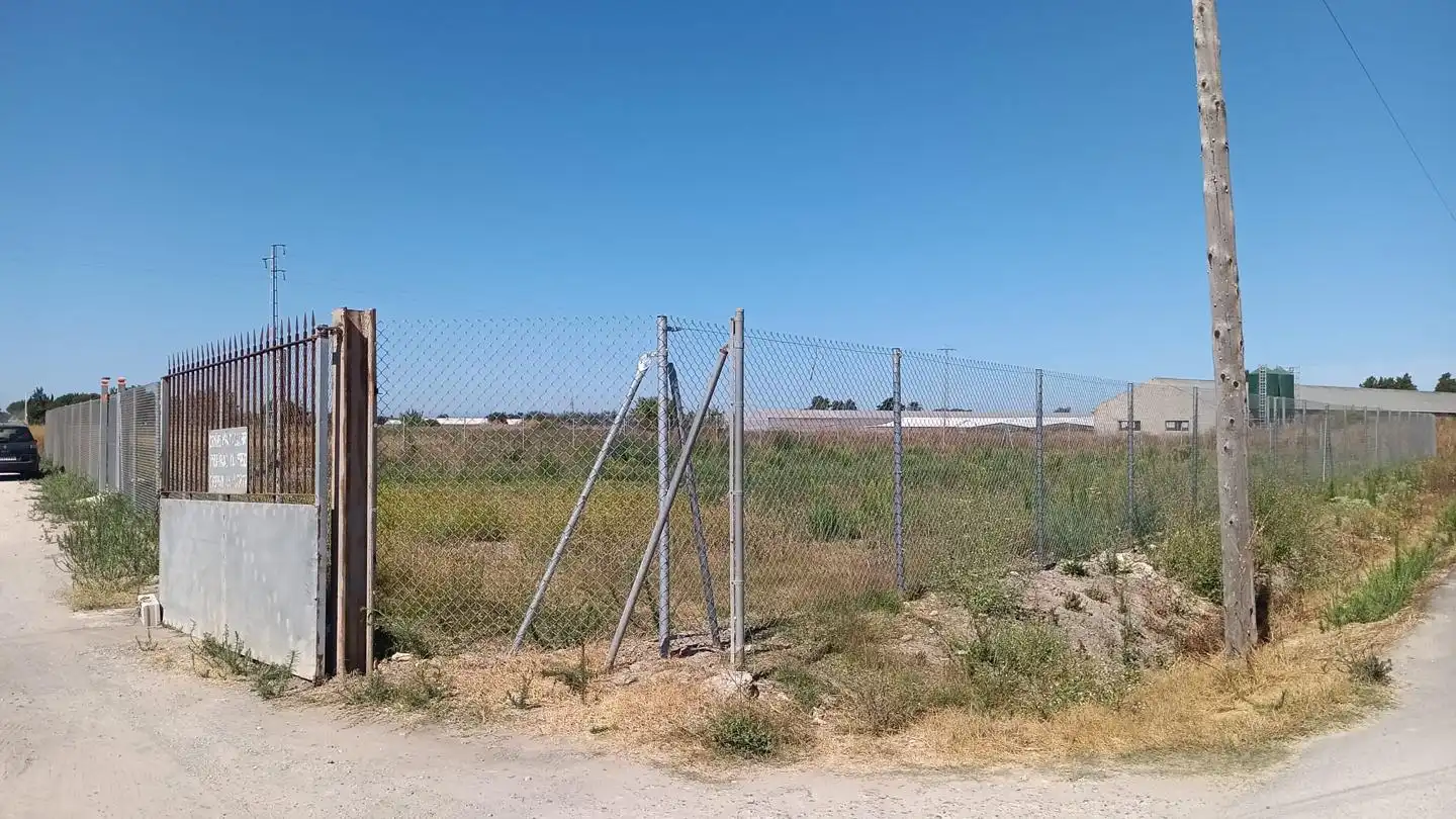 Terreni e lotti in vendita a Los Llanos, imagen 4
