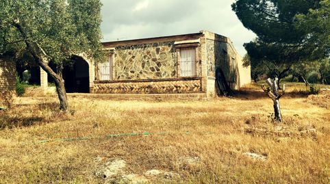 Foto 2 de Finca rústica en venta en Niebla, Huelva