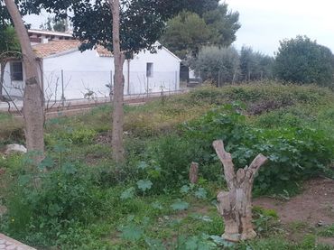 Terreno residenziale in vendita a Les Alqueries / Alquerías del Niño Perdido