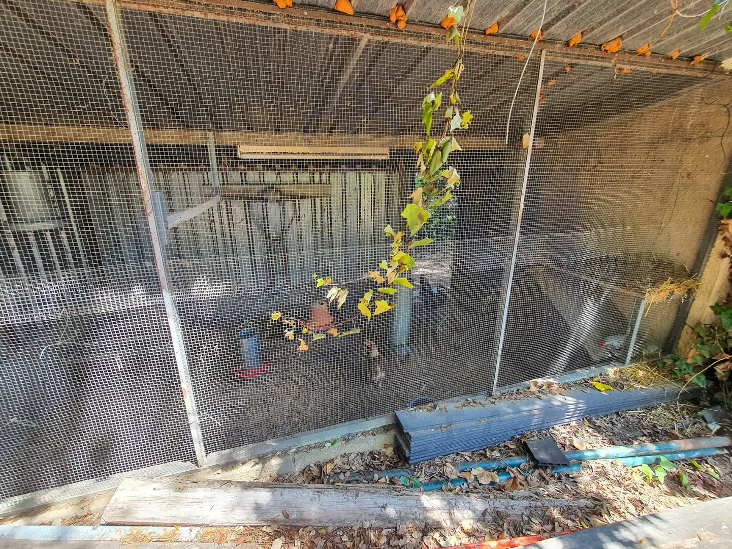 Villa con terrazza in vendita a Carrer Sot de les Vinyes, imagen 50