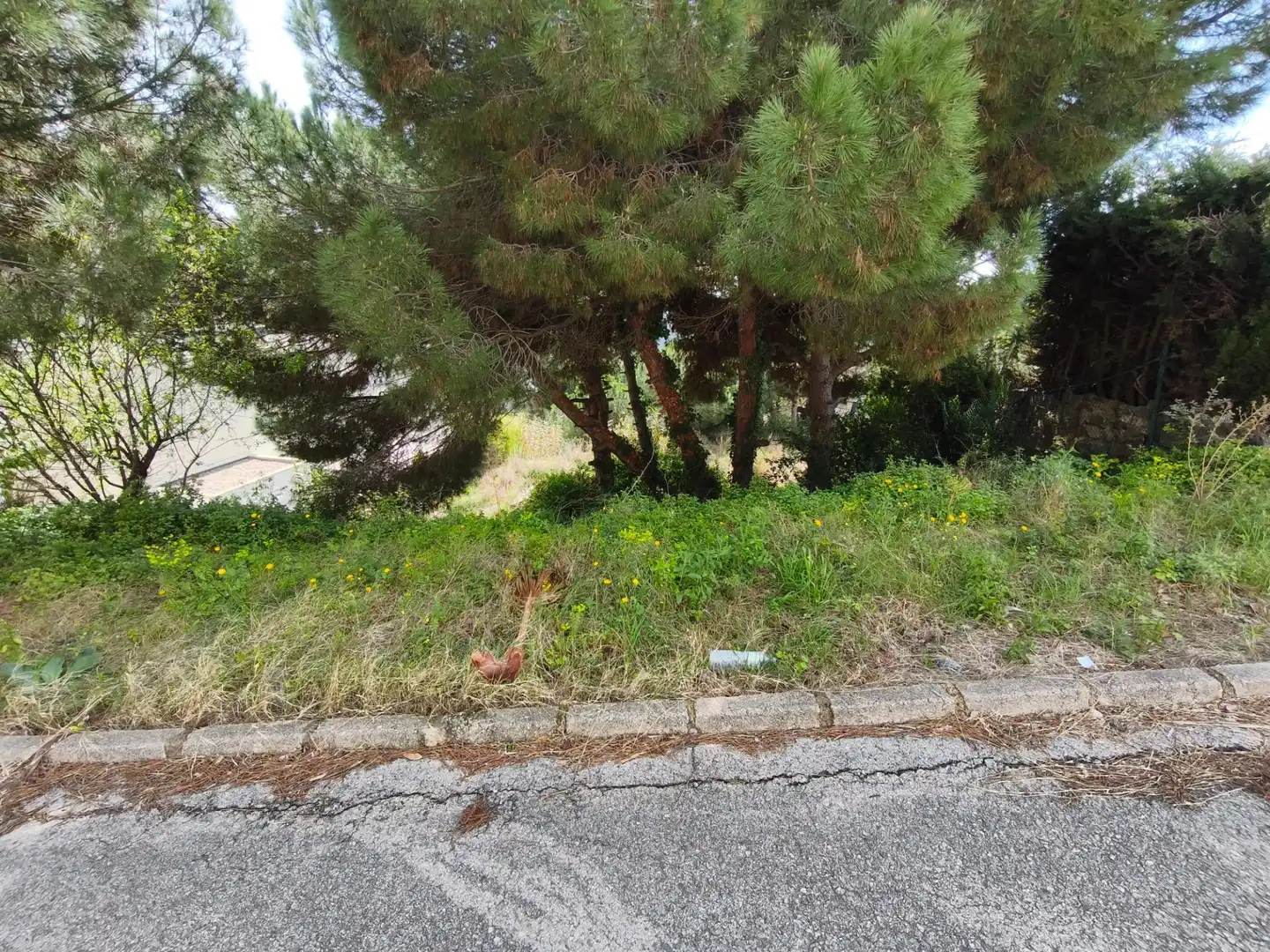 Terrain rustique à vendre à Carrer de Narcís Monturiol