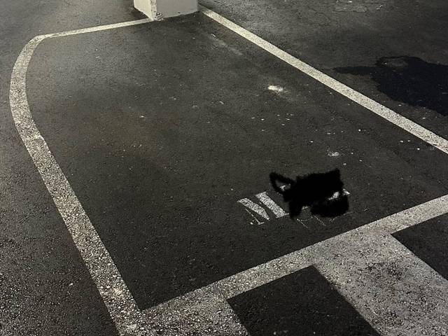 Garaje en Alquiler en Carrer Fernanda Santamaría, 87 en Plaza Crevillente - Antiguos Juzgados - El Asilo