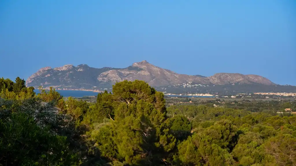 Vista exterior de Casa o xalet de lloguer en Pollença amb Aire condicionat, Calefacció i Jardí privat