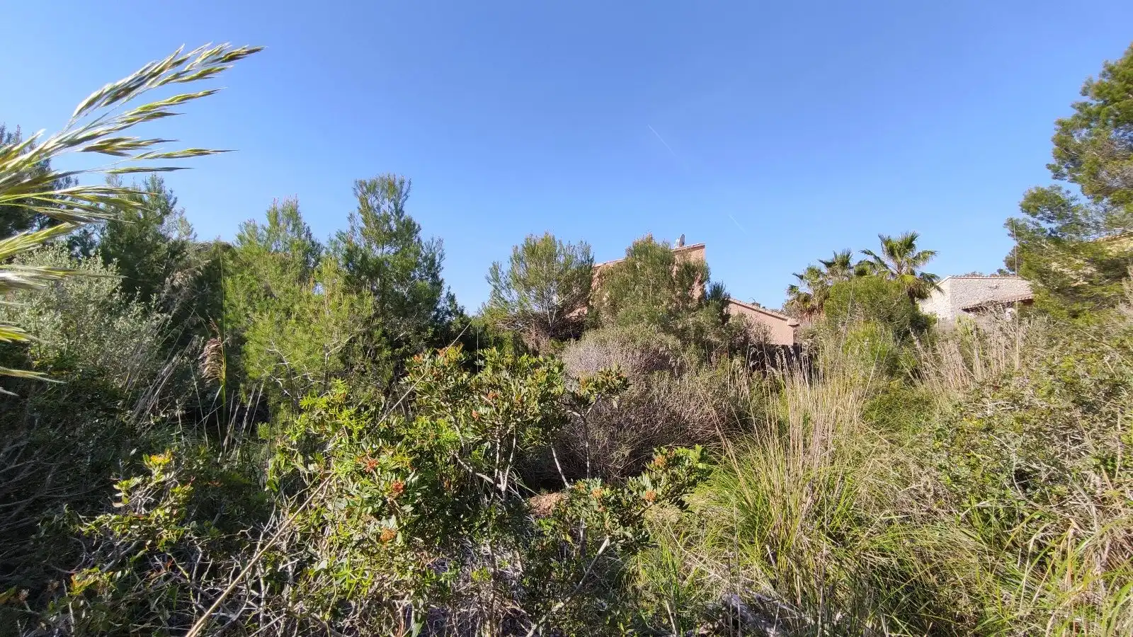 Land for sale in Cala Mesquida