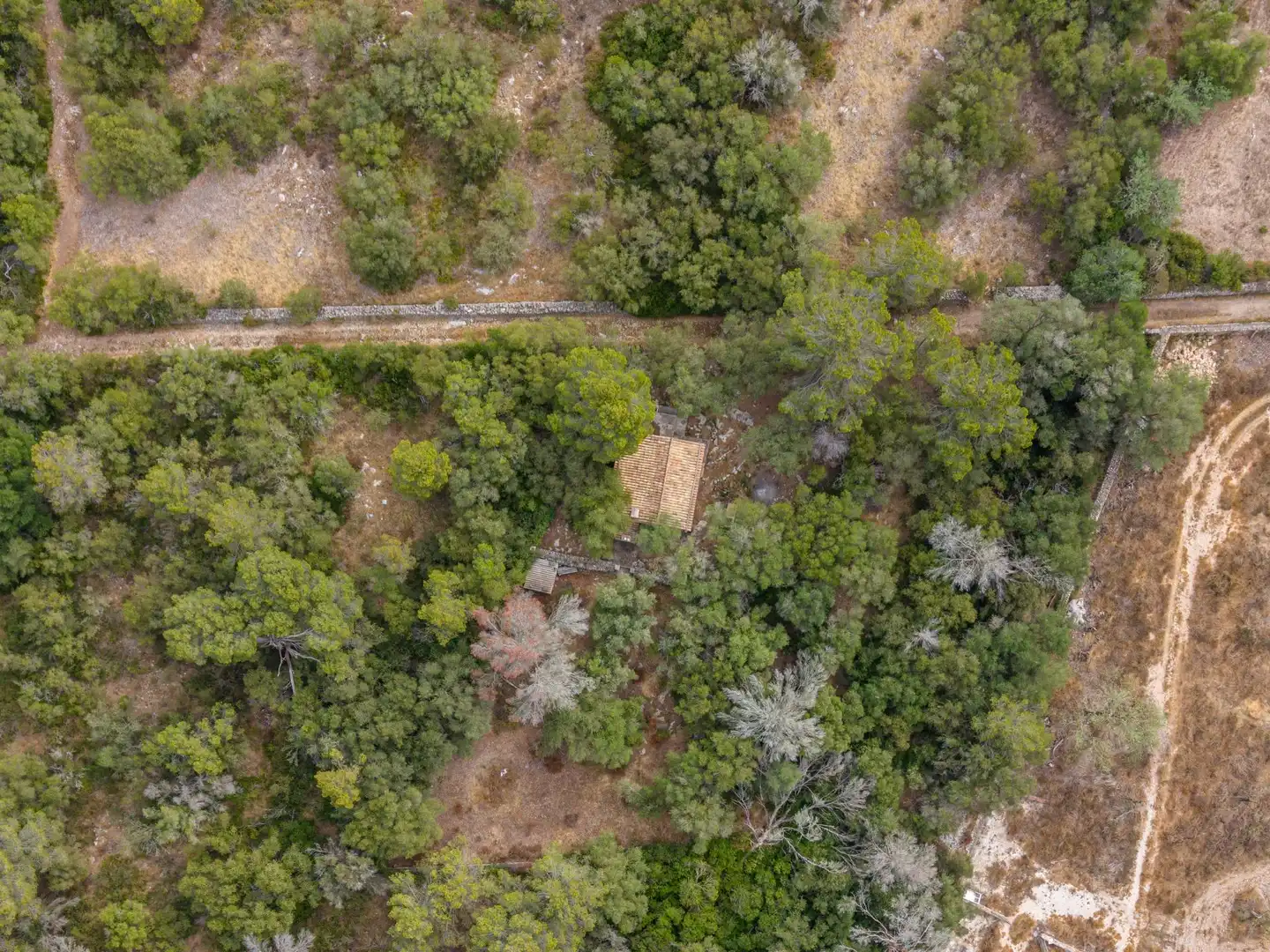Finca rústica en venda en Petra amb Jardí privat, Terrassa i Traster