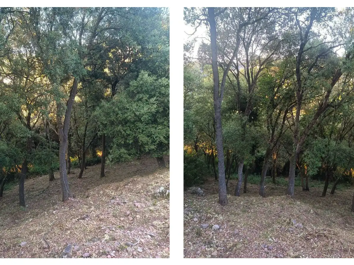 Terreny residencial en venda a Roure Monjo 5b, imagen 8