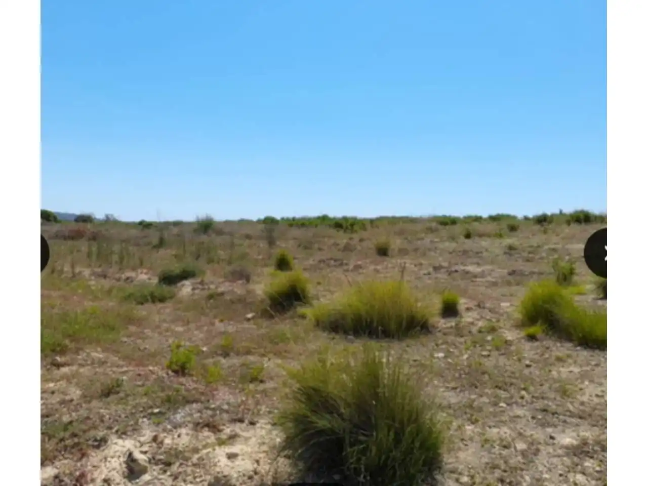 Rural land for sale in Poligono 13, imagen 7