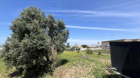 Foto 2 de Terreny en venda a Rompeserones, Las Palmeras - Dehesilla, Sanlúcar de Barrameda
