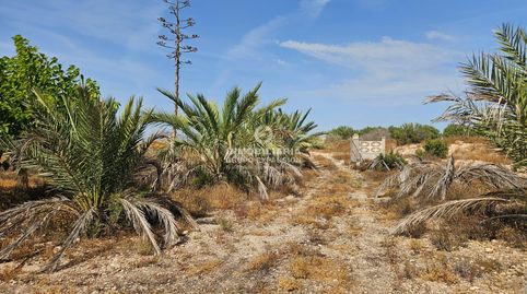 Foto 4 de Casa o chalet en venta en La Serranica - Sagrado Corazón, Aspe
