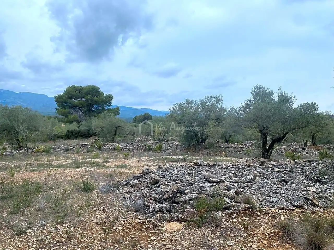 Terreno rustico in vendita a Burga, imagen 11