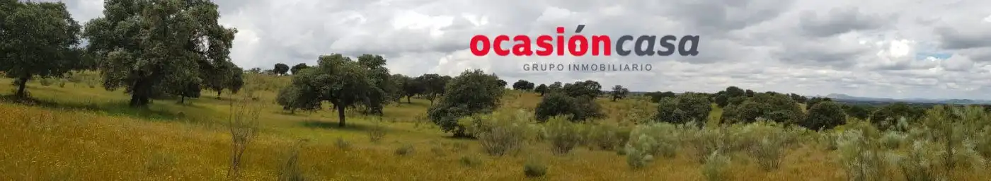 Finca rústica en venta en Torrecampo