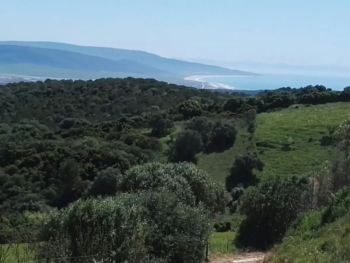 Terrain rustique à vendre à Vejer