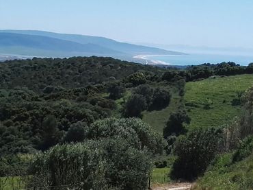 Rustikales Grundstück zum Verkauf in Vejer