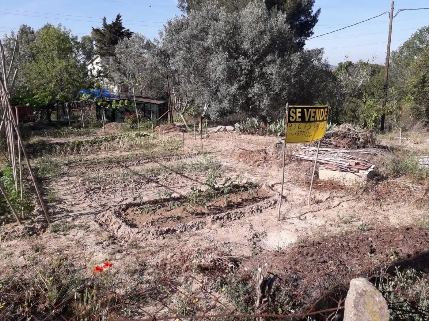Terreno rustico in vendita a Carrer d'Altimira 22, imagen 8