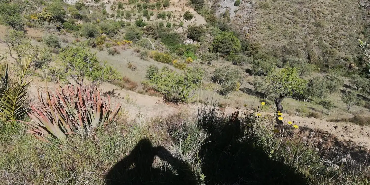 Casa rústica en venta en El Pinar, imagen 8