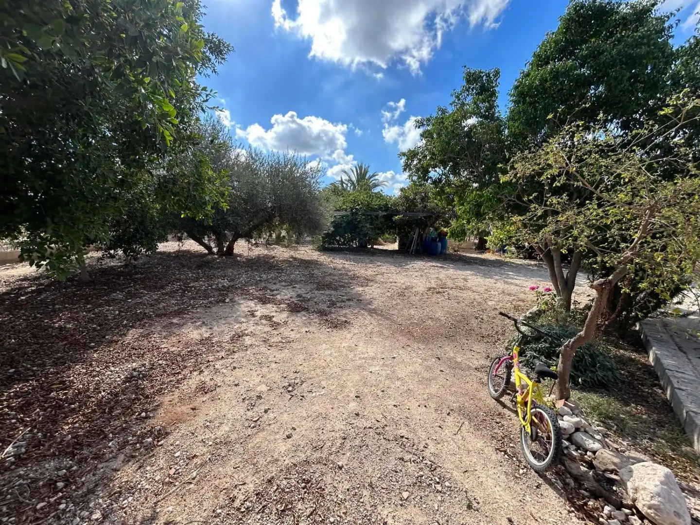 Casa rústica amb piscina en venda a Crevillent, imagen 17