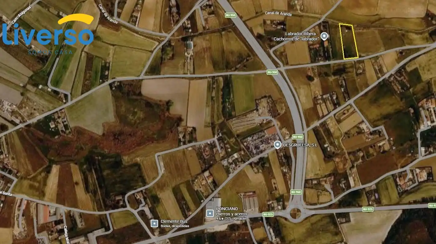 Terreno rústico en venta en Zona Rural, imagen 11