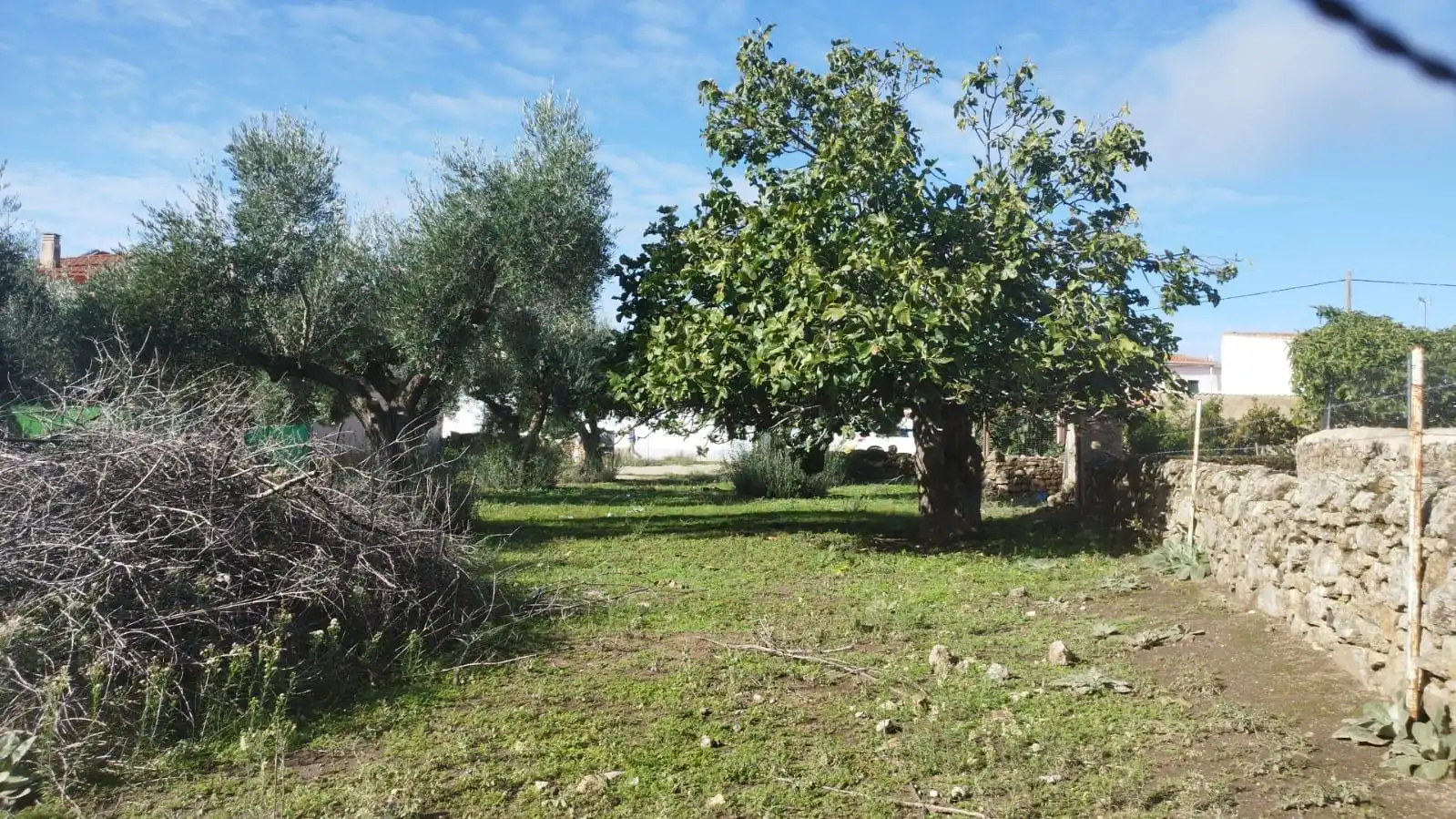 Terreni e lotti in vendita a Aldea del Cano, imagen 2