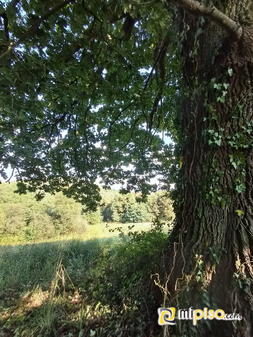Garten von Residential zum Verkauf in Laredo