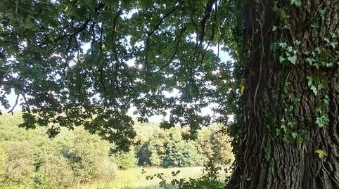 Photo 5 of Residential for sale in El Callejo - La Pesquera - La Arenosa, Cantabria