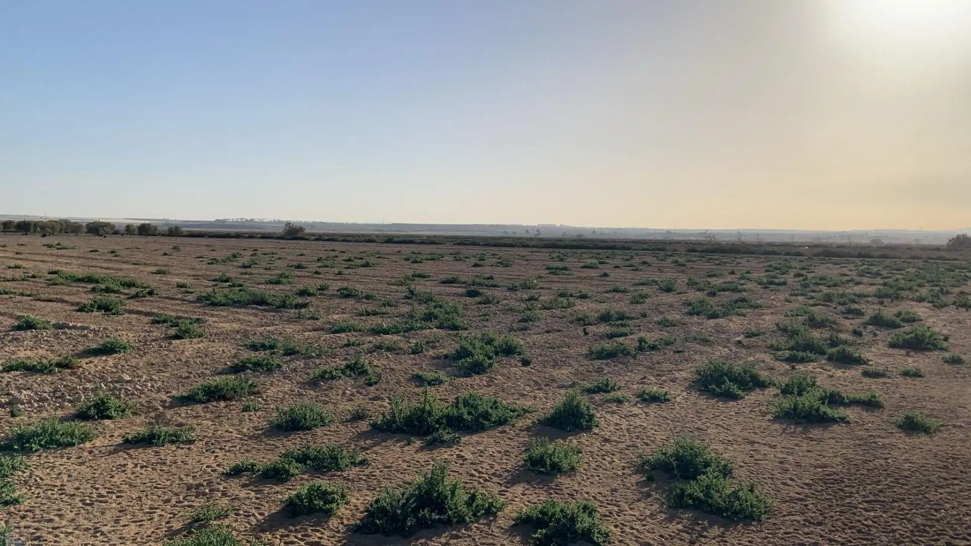 Terreno en venta en Alhama de Murcia