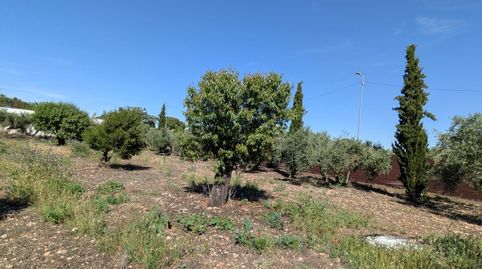 Foto 3 de Residencial en venta en La Poblachuela, La Poblachuela, Ciudad Real Capital
