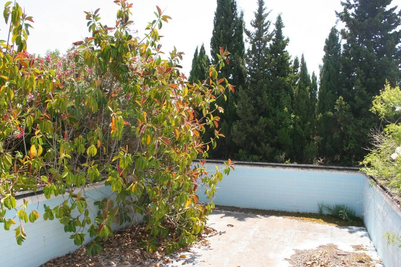 Maison rustique à vendre à Pedreguer, imagen 9