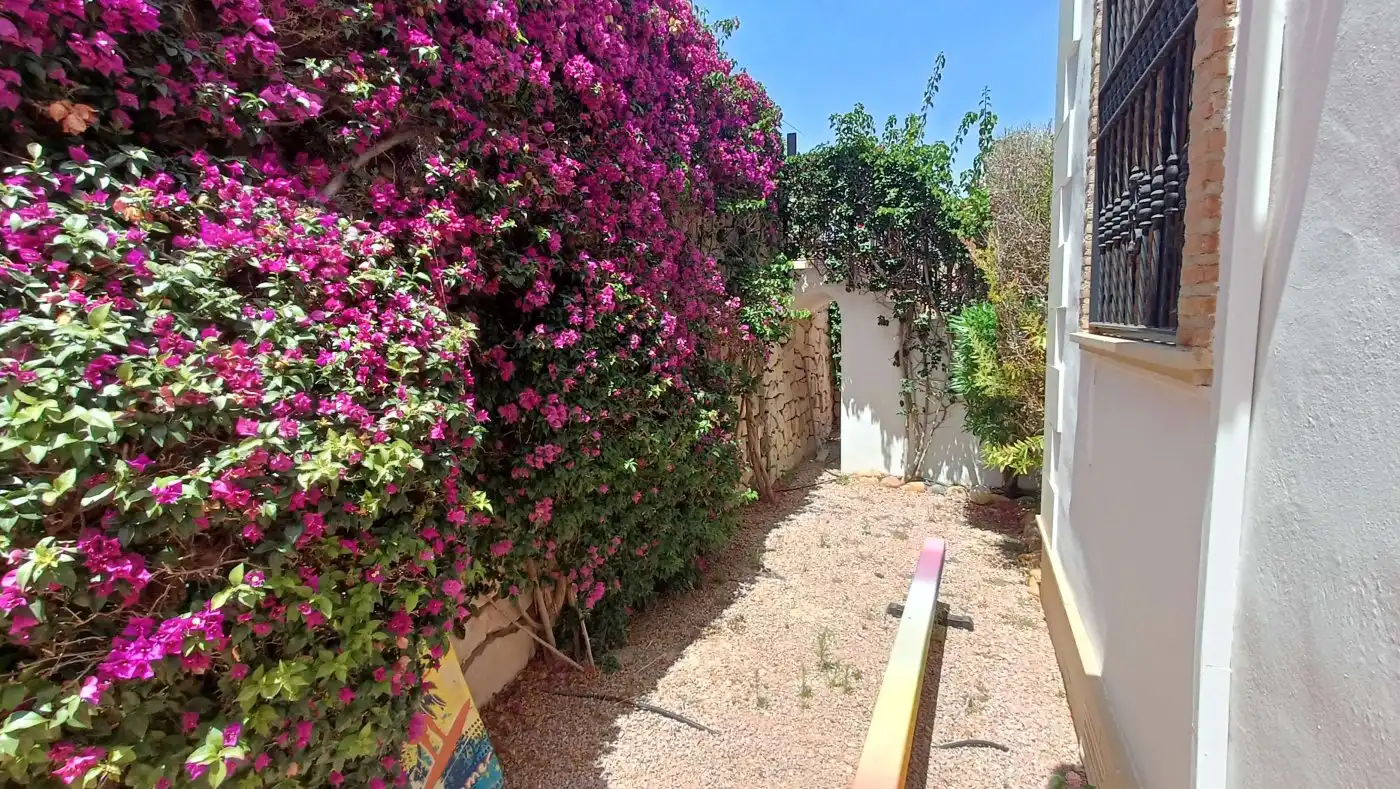 Casa con terrazza in vendita a Algorfa, imagen 49