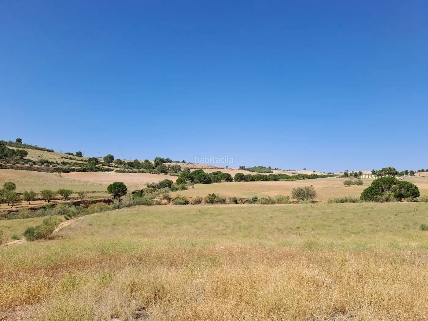 Terreno rústico en venta en CM-412 222, imagen 9