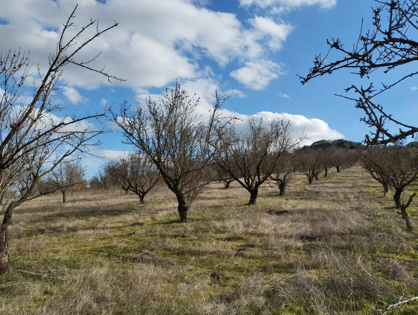 Rural land for sale in Calle Río Anzur, imagen 7