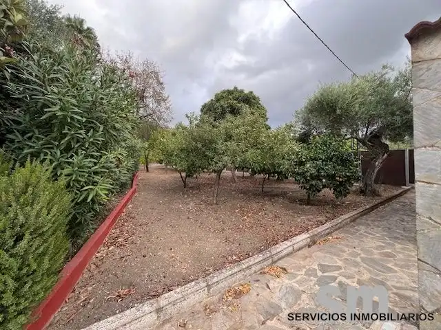 Terreno rustico in vendita a Ubrique, imagen 21