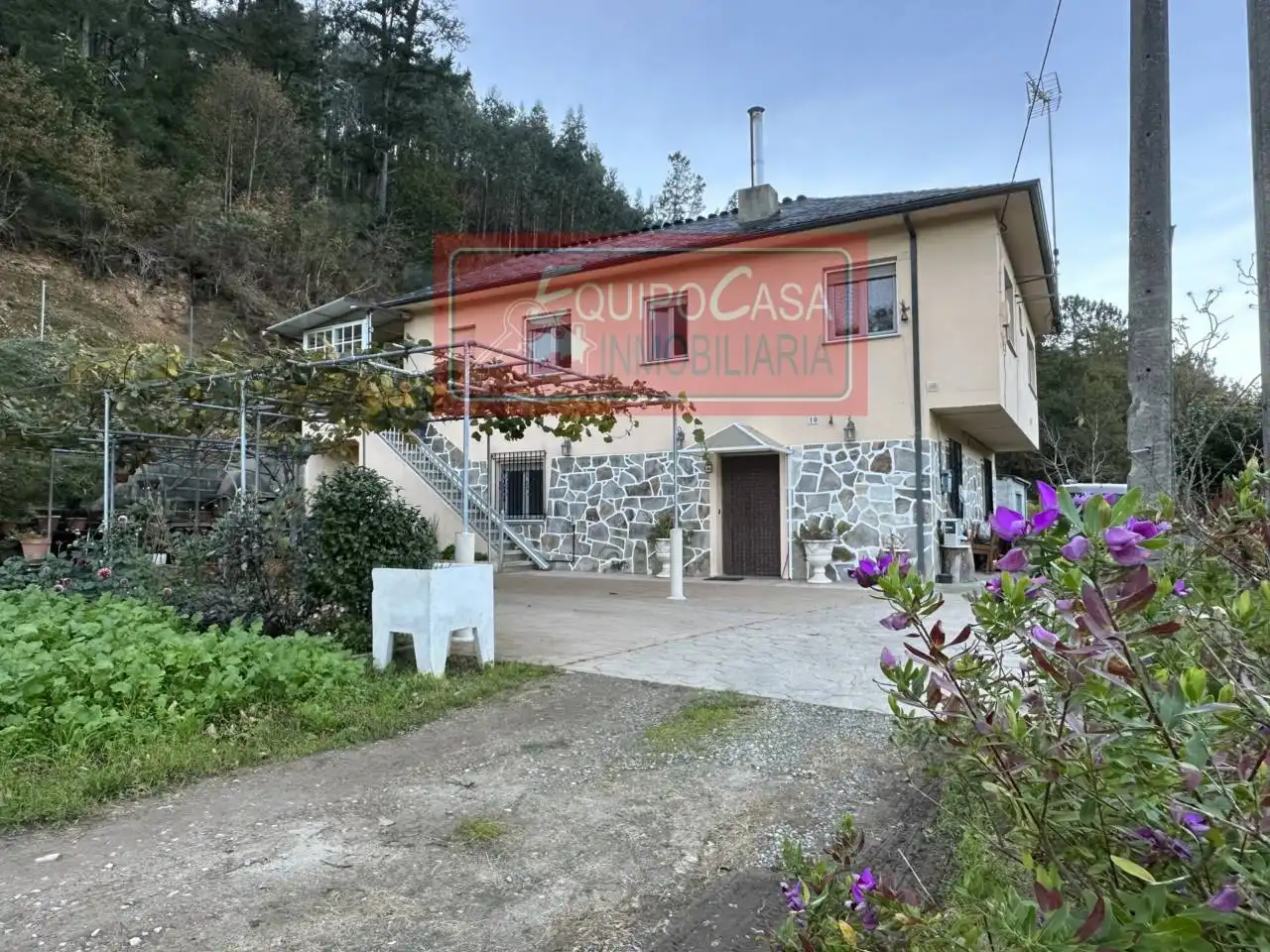 Vista exterior de Casa o xalet en venda en Ribeira de Piquín amb Calefacció, Jardí privat i Moblat