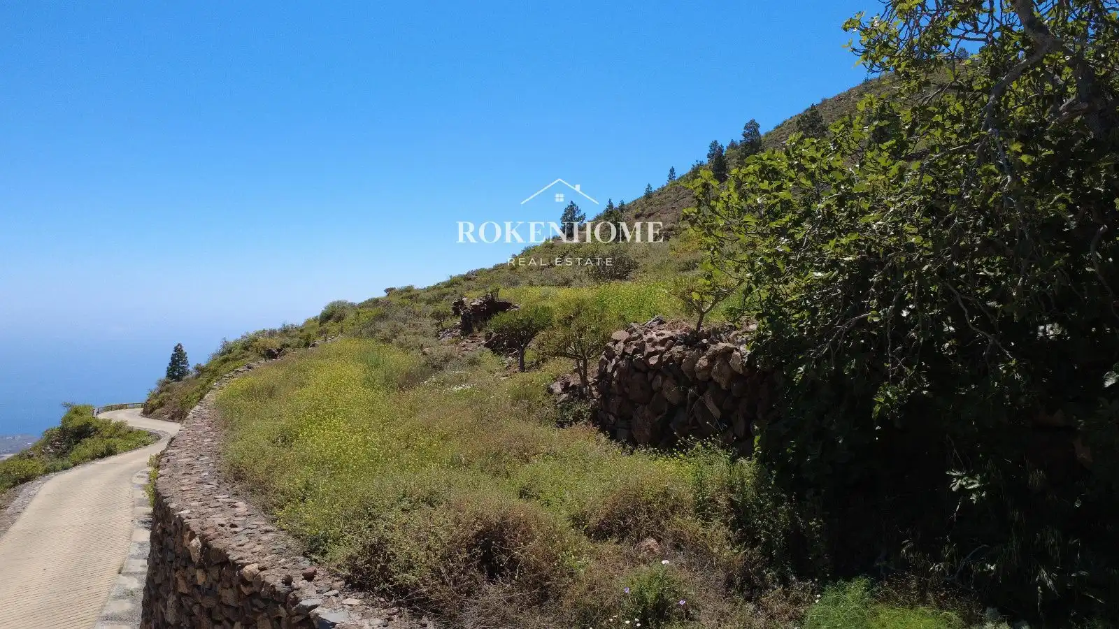 Terreno en venta en Guía de Isora