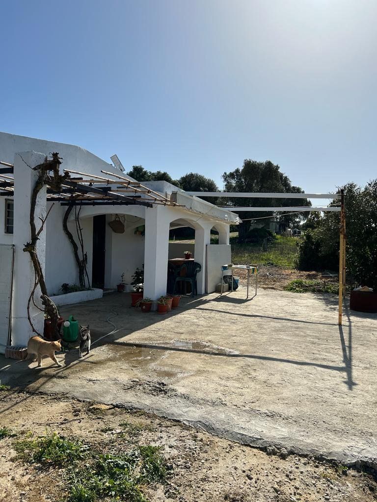 Exterior view of House or chalet for sale in Vejer de la Frontera