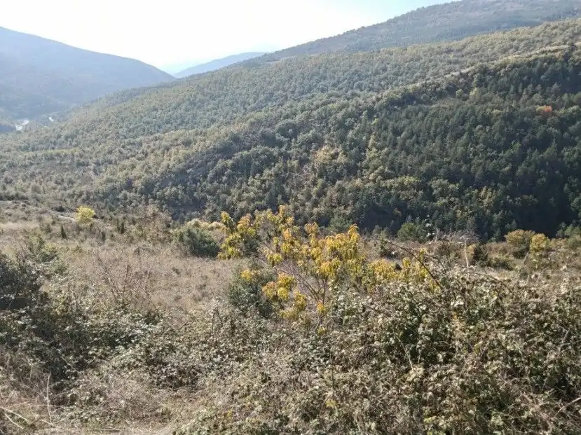 Terreni e lotti in vendita a Alta, imagen 5