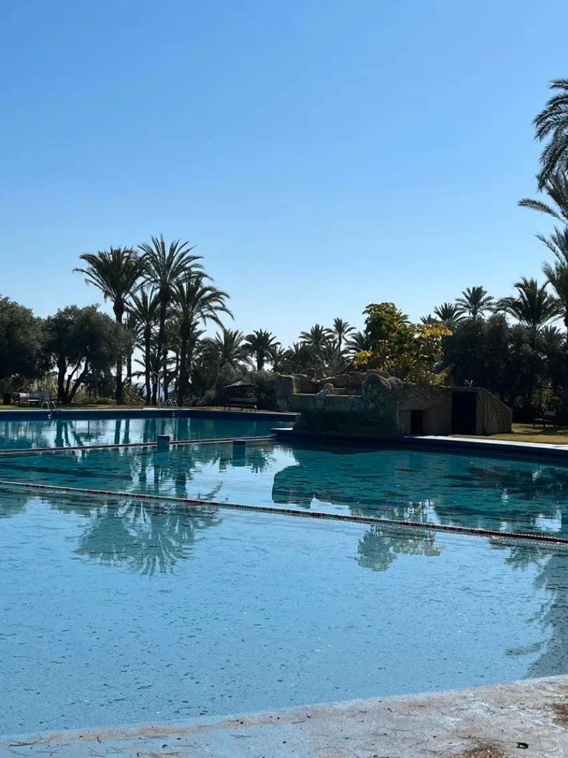 Swimming pool of Flat for sale in Alicante / Alacant  with Furnished