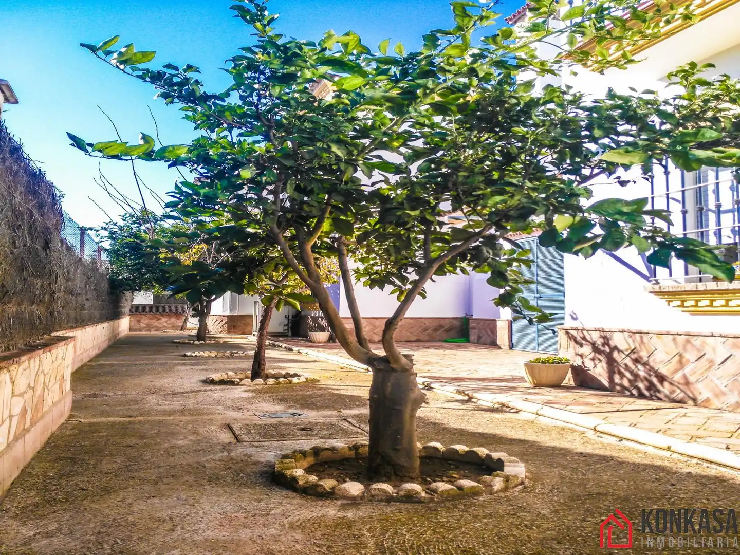 Chalet con piscina en venta en Arcos de la Frontera, imagen 34