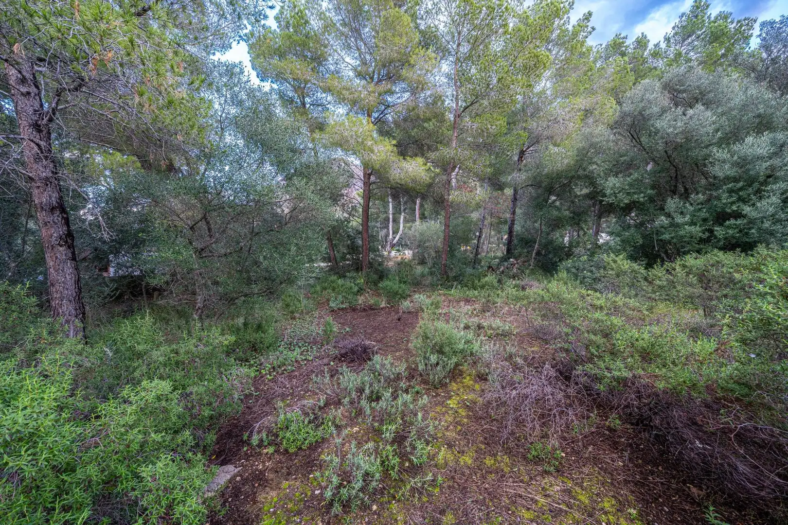 Terreny rústic en venda a Colònia de Sant Pere, imagen 16
