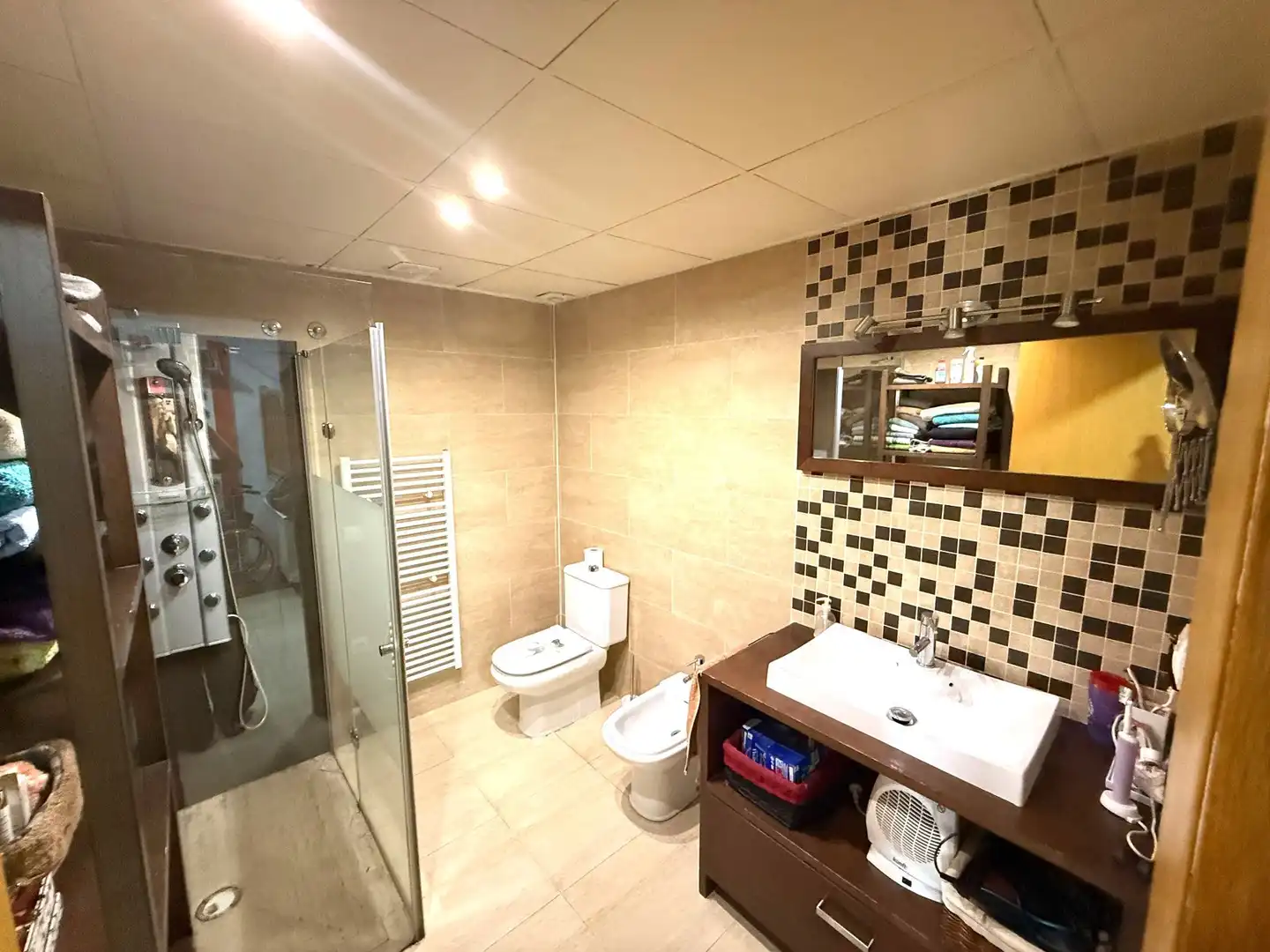 Bathroom of Houses for sale in La Vall d'en Bas  with Air Conditioner, Heating and Terrace