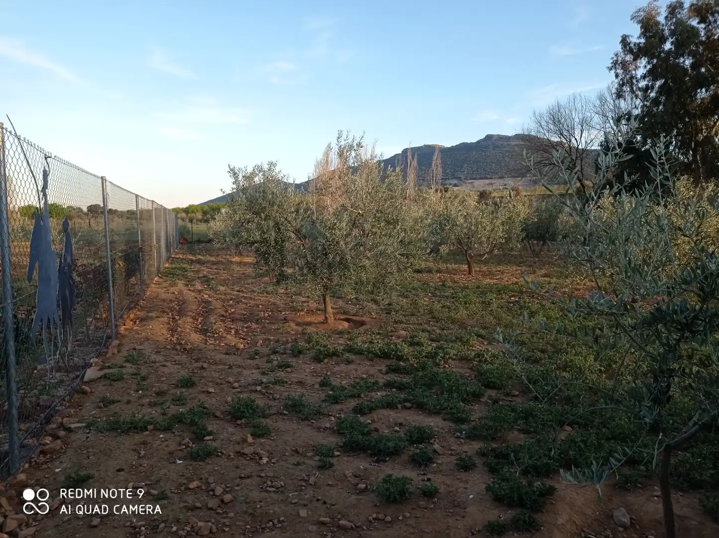 Chalet con jardín en venta en Porzuna, imagen 19