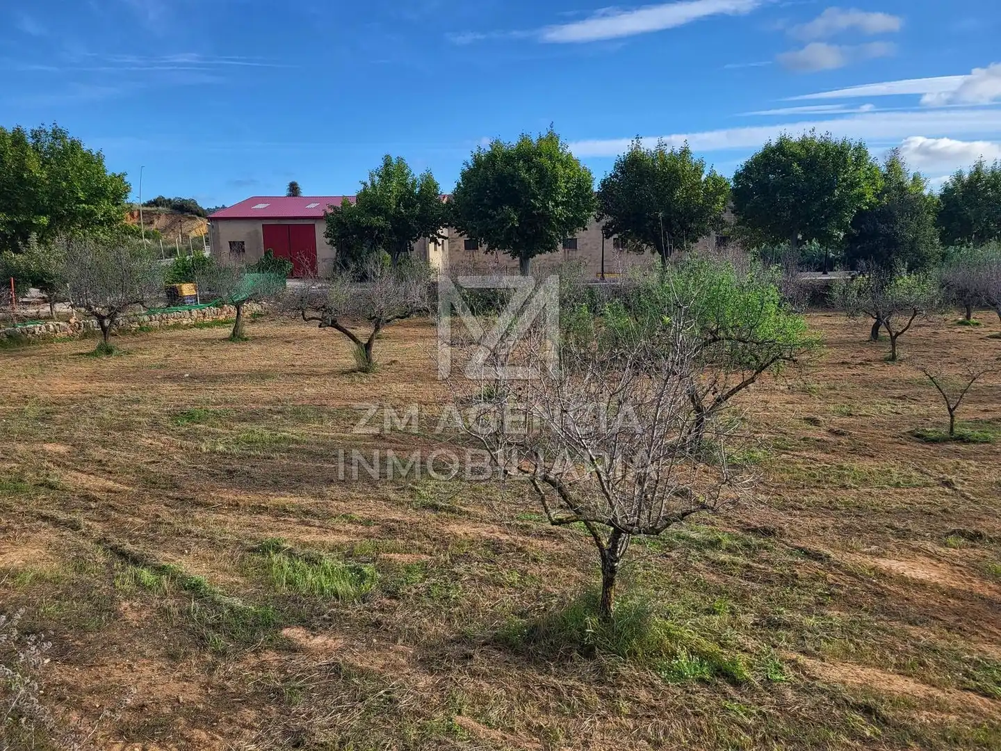Terreno rustico in vendita a Traiguera, imagen 13