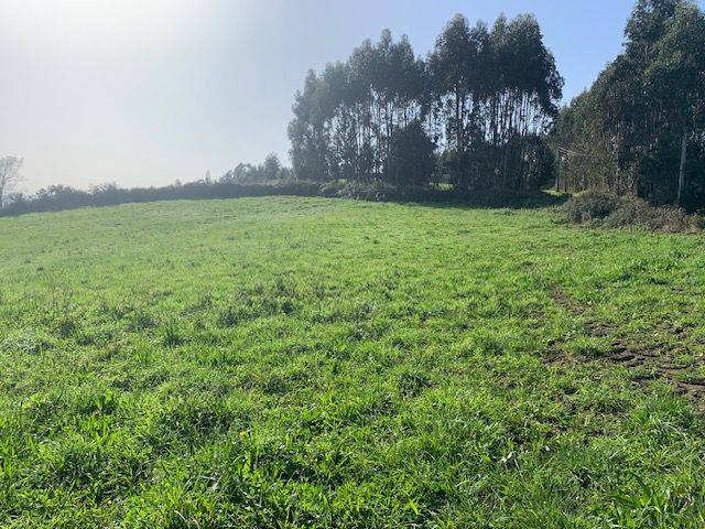 Terreno residencial en Venta en Sierín